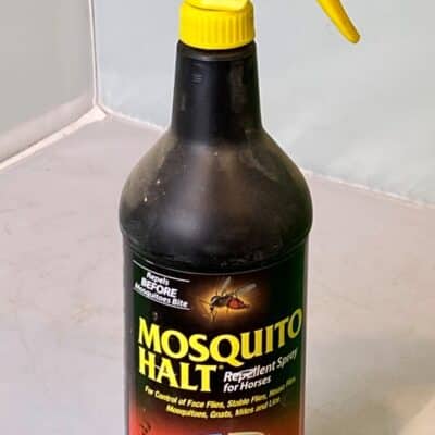 Mosquito Halt