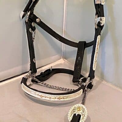 Western Stock/Showmanship Halter with Gold Accents
