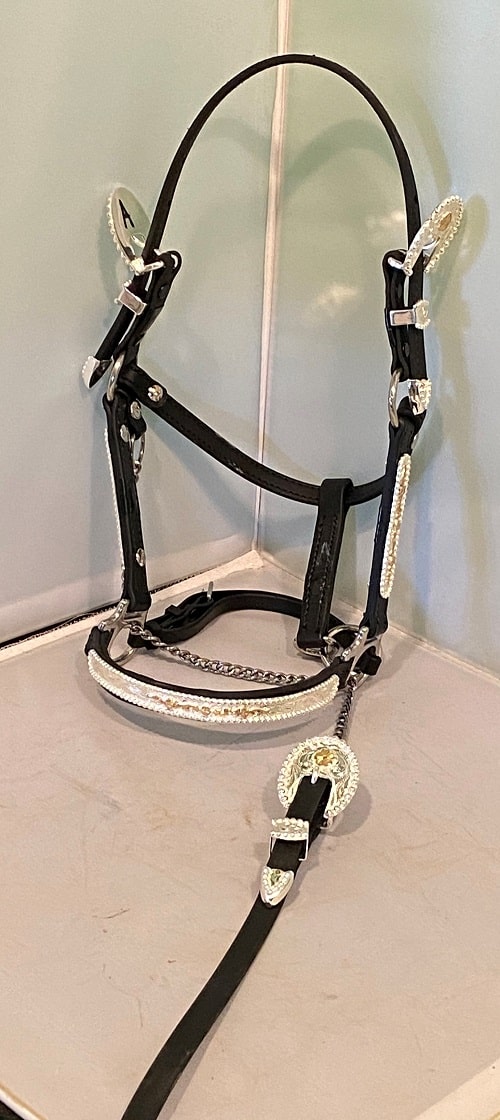 Western Stock/Showmanship Halter with Gold Accents