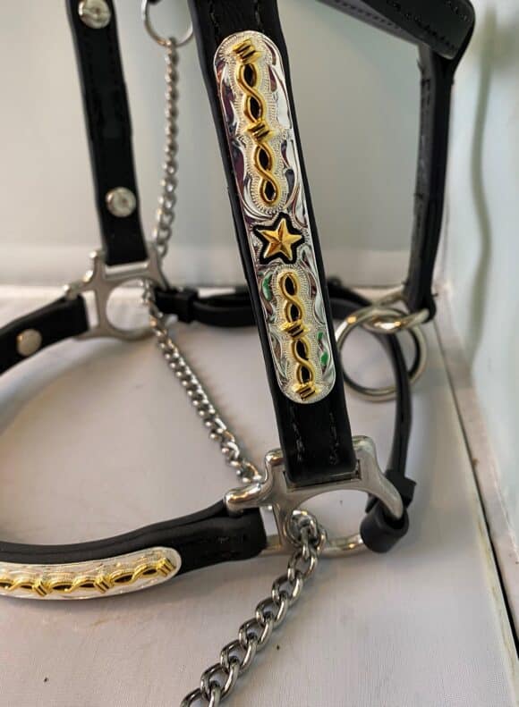 Western Stock/Showmanship Halter Silver with Black Accents